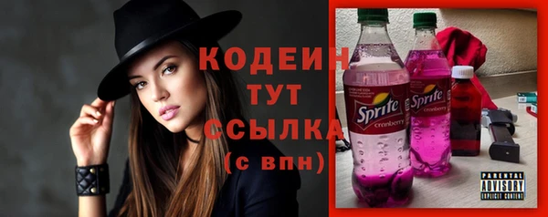 шишки Бежецк