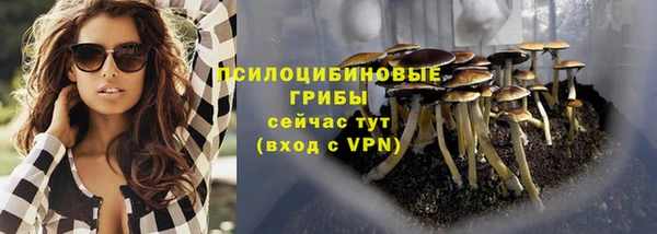 гашик Наволоки