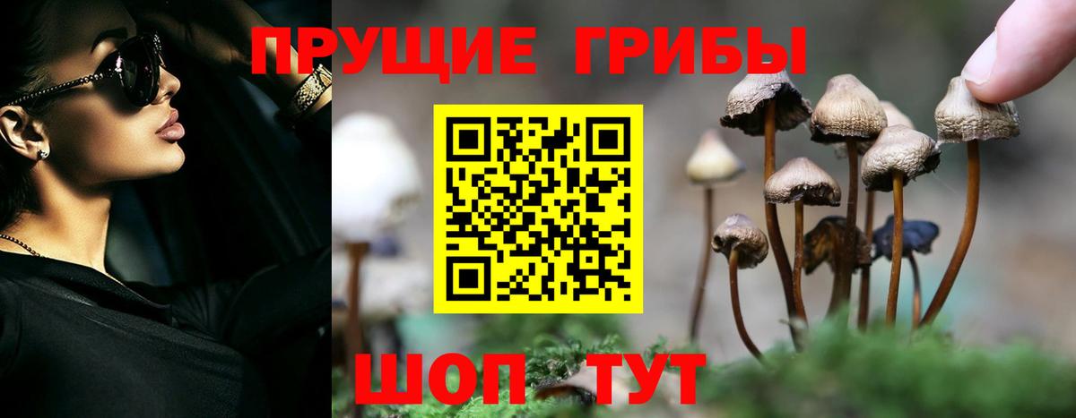 Ревда  Псилоцибиновые грибы MAGIC MUSHROOMS  Вход с VPN 